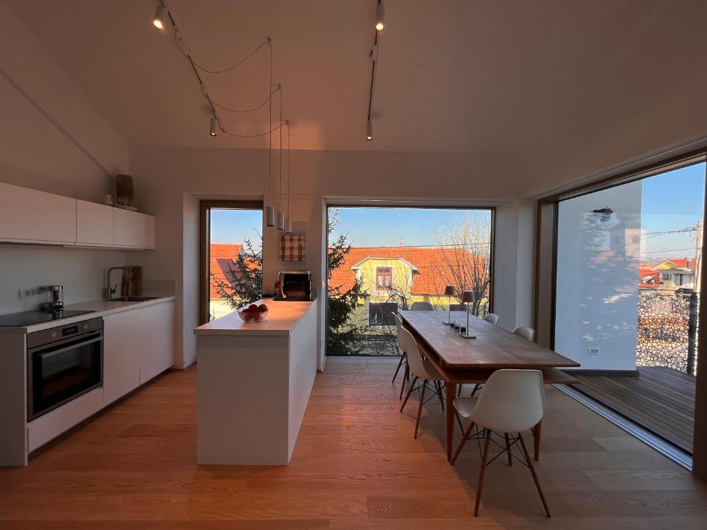 Kuchyň nebo kuchyňský kout v ubytování Villa Boris
