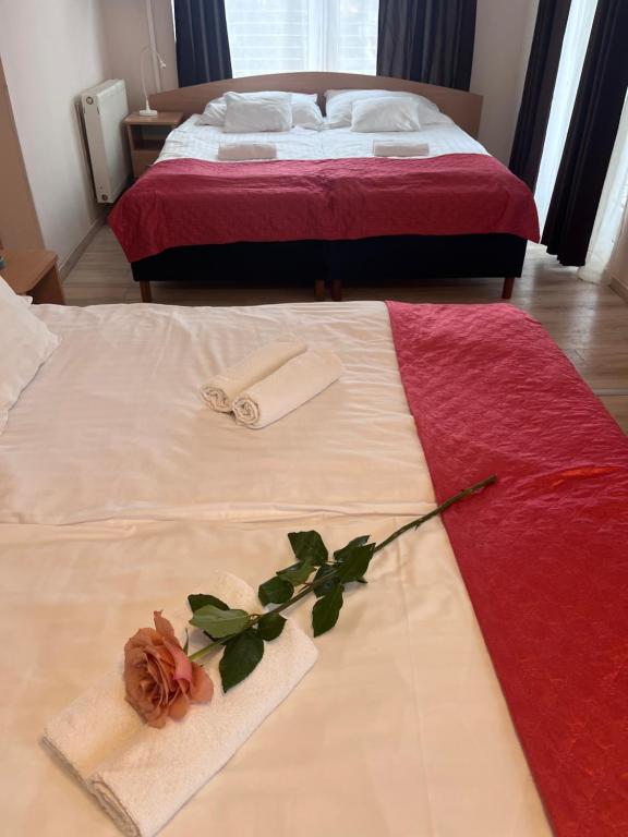 Hotel Rose City - Resim 40