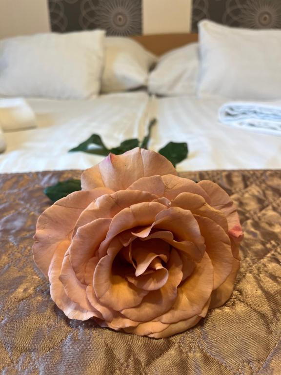 een roze roos bovenop een bed bij Hotel Rose City in Boedapest