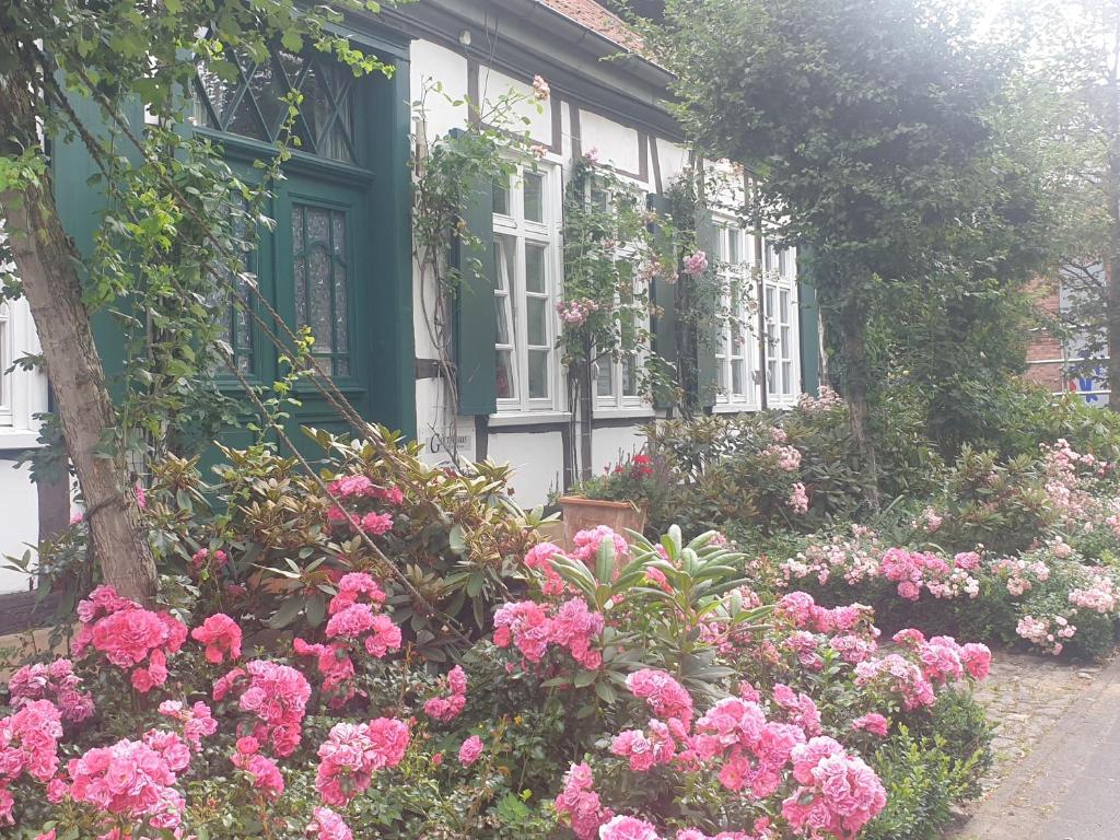 uma casa com flores cor-de-rosa em frente em Rosindell cottage em Halle Westfalen