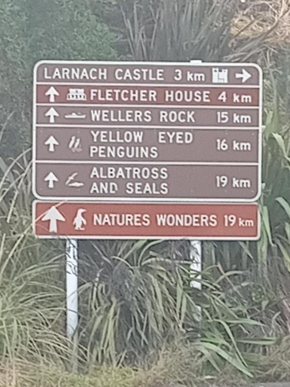 The Views - Resim 23