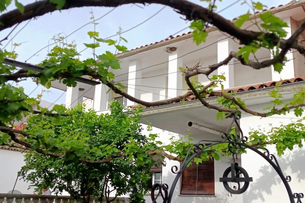 um edifício branco com árvores em frente em Casa Rural Las Parras 48 em Malpartida de Cáceres