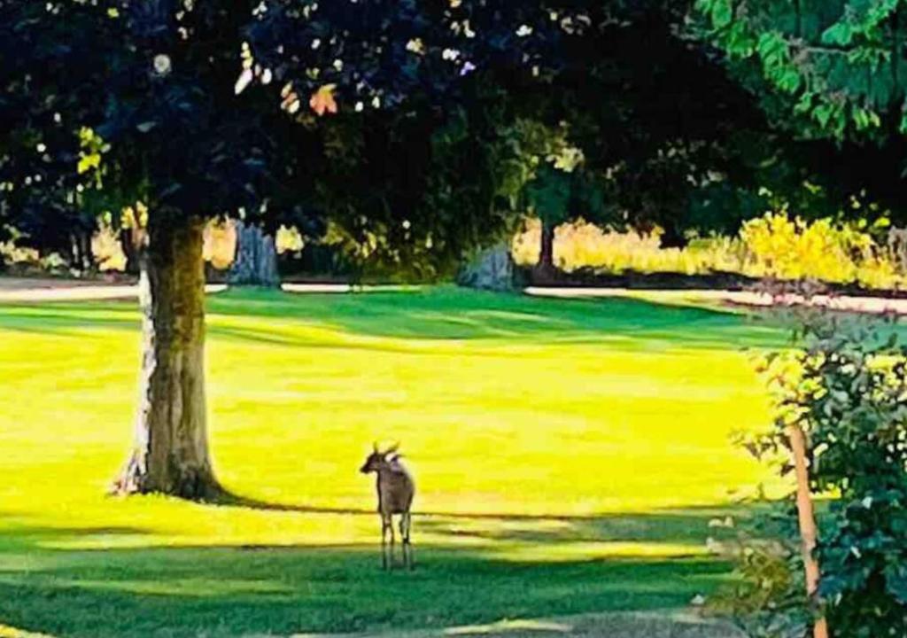 Golf v bed and breakfast nebo okolí