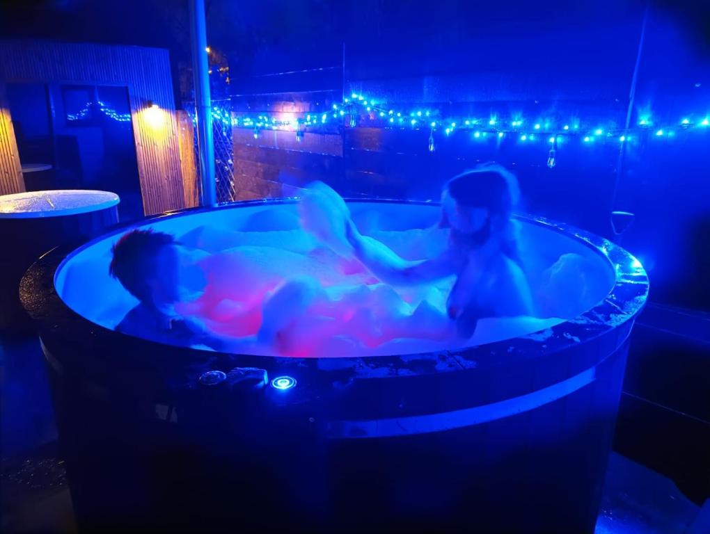 MiiG Residence Jacuzzi & Sauna Zator Oświęcim - Vakantiehuis