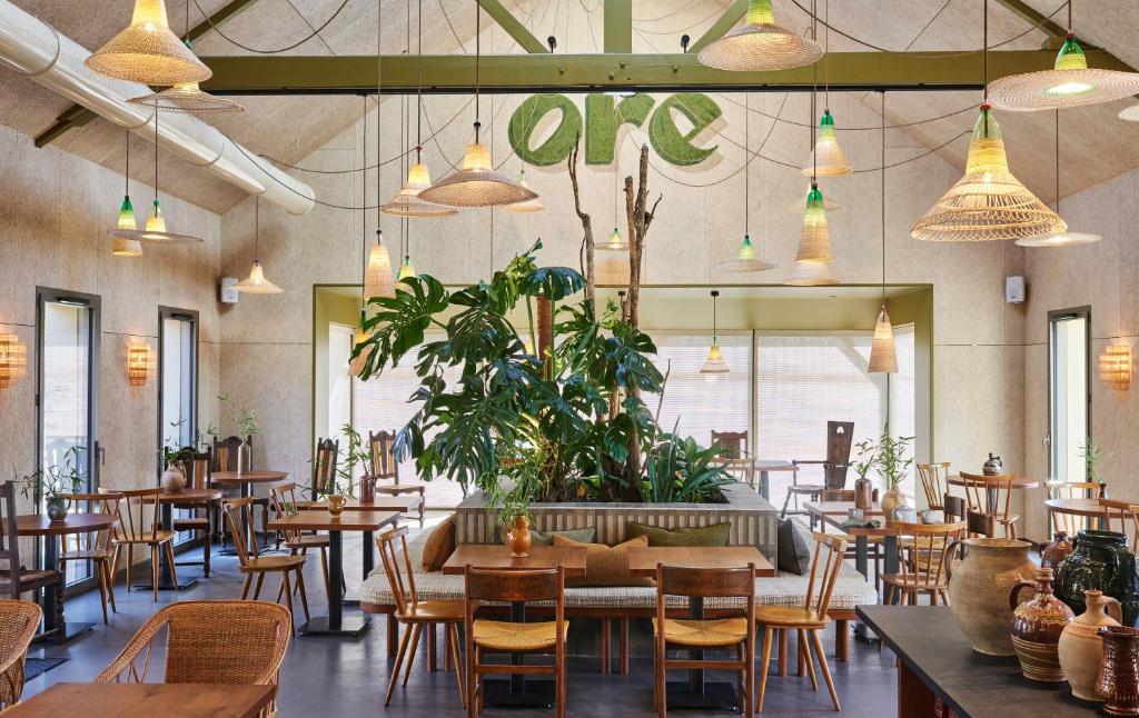 un restaurant avec des tables, des chaises et des plantes en pot dans l'établissement Hôtel Oré, Saint-Malo, à Saint-Malo