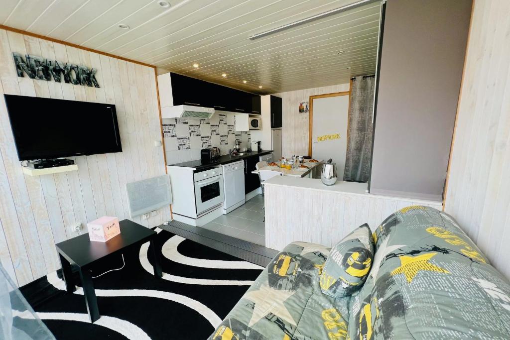 un salon avec un canapé et une cuisine dans l'établissement Los Amigos - Studio confort proche de la plage, au Grau-du-Roi