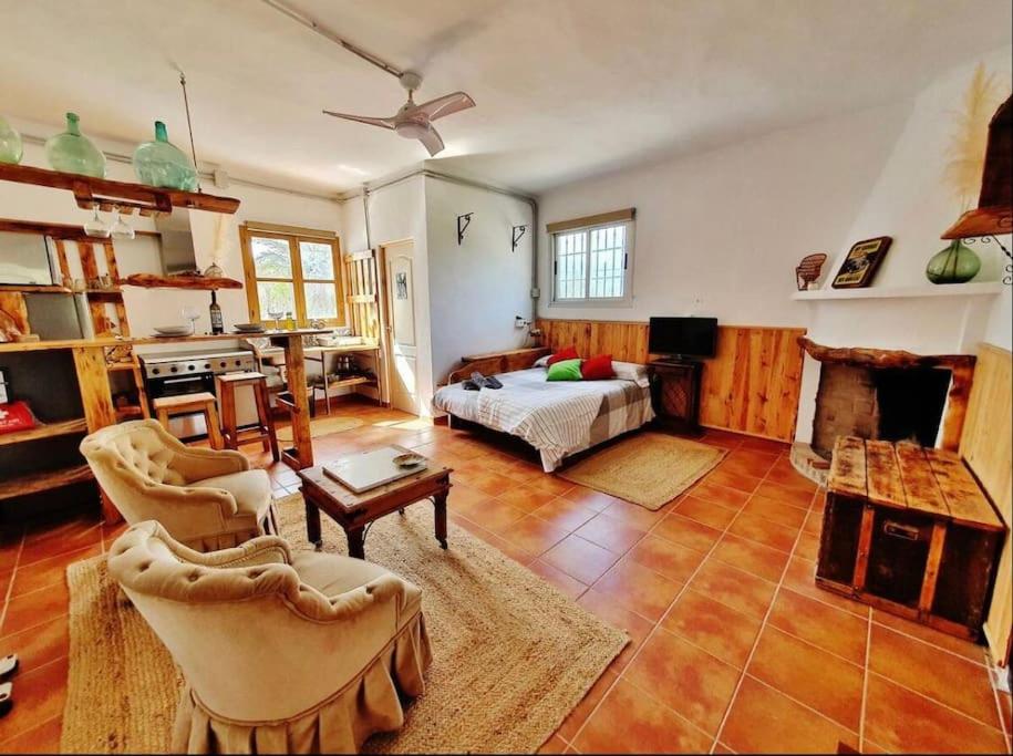 een grote woonkamer met een bed en een open haard bij Loft rural in Granada