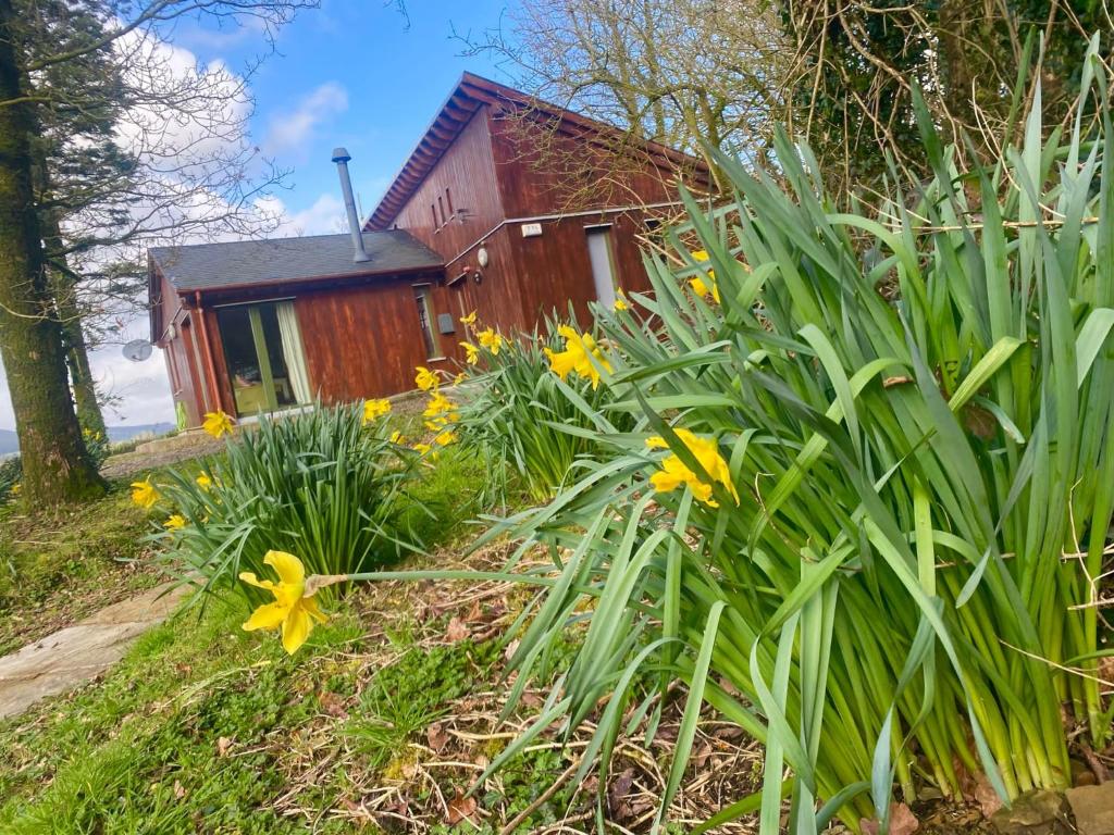 Ballyhoura Mountain Lodges في Ballyorgan: منزل صغير وامامه زهور صفراء