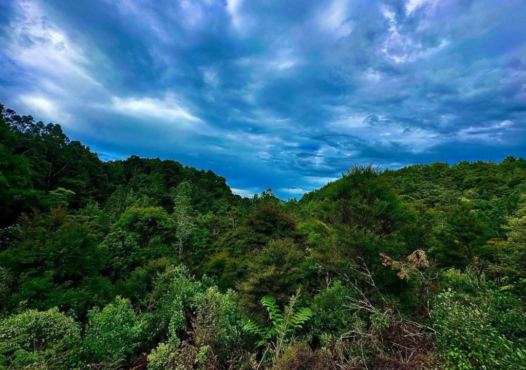 Makoha PurePod - Resim 15