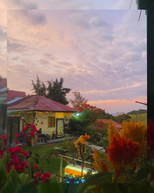 Κήπος έξω από το Hostal Camino Viejo
