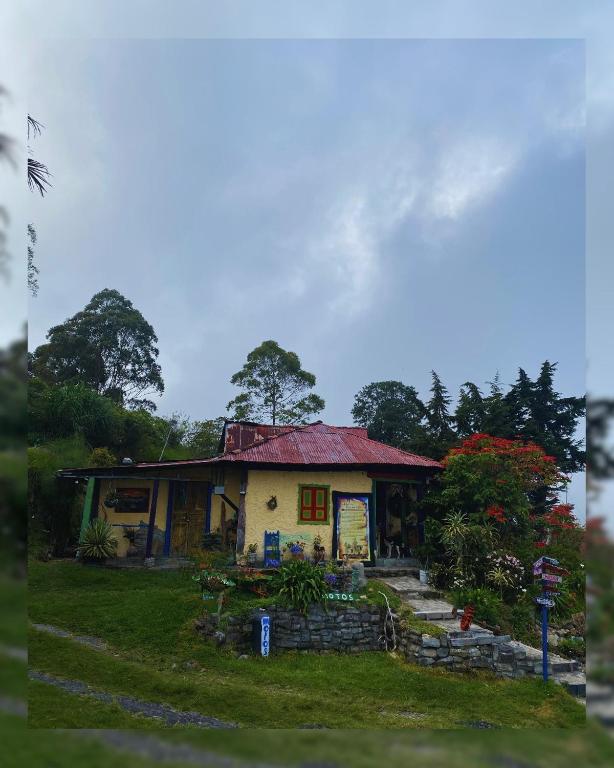 Κήπος έξω από το Hostal Camino Viejo