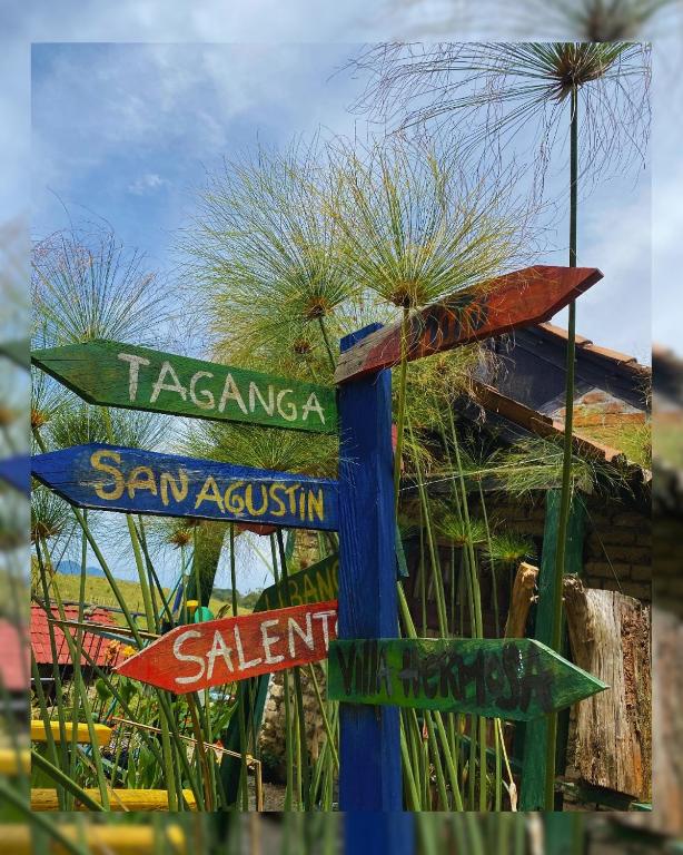 Φωτογραφία από το άλμπουμ του Hostal Camino Viejo σε Líbano