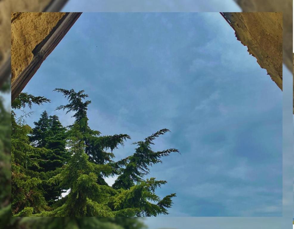 Φωτογραφία από το άλμπουμ του Hostal Camino Viejo σε Líbano
