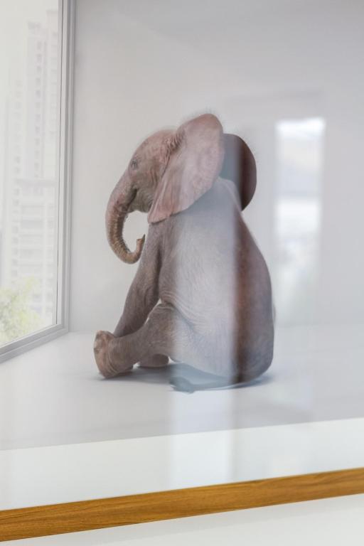 Style meets comfort 2 Bed CHCH CBD - Resim 33