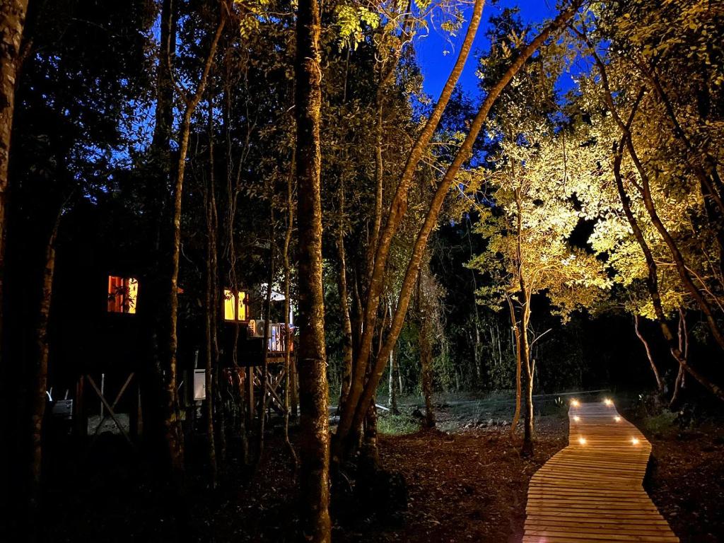 un camino de madera en medio de un bosque por la noche en Cabañas Los Glaciares, en Coñaripe
