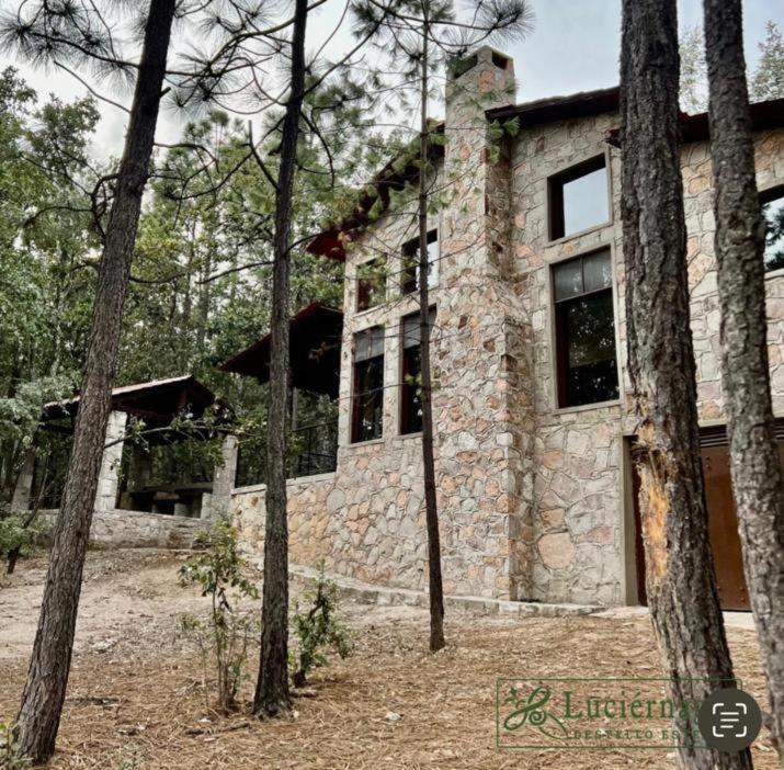 una casa in pietra con alberi di fronte di Providencia PREMIUM Cabañas del Lago - Luciérnaga a Los Alamillos