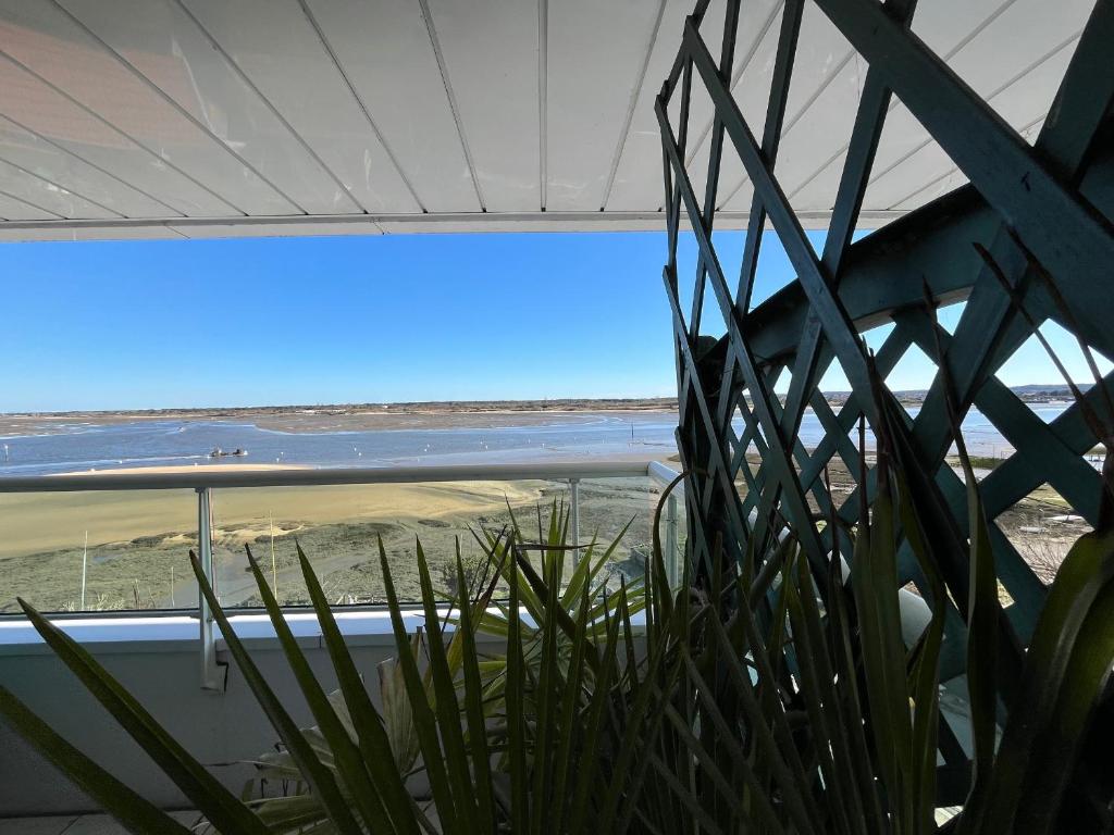 une plante dans une fenêtre avec vue sur l'océan dans l'établissement Arcachon - T2 cosy en bord de plage avec parking privé - FR-1-319-10, à Arcachon