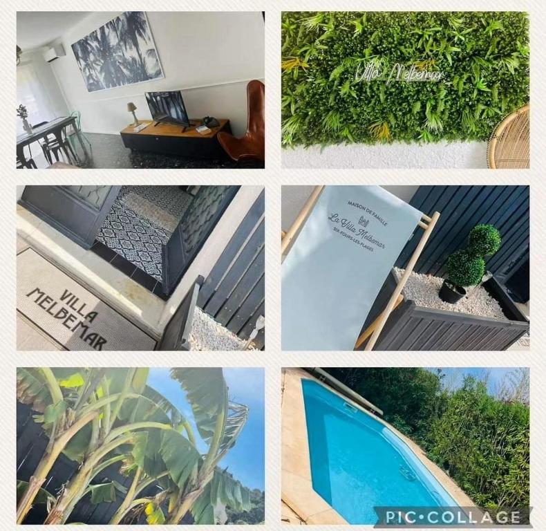 un collage d'images avec un cactus au milieu dans l'établissement Villa Melbemar, à Six-Fours-les-Plages