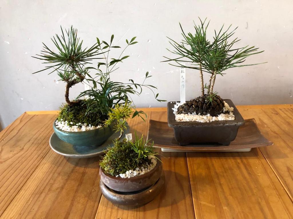 Fotografie z fotogalerie ubytování Kappo Ryokan Uoichi v destinaci Shimada