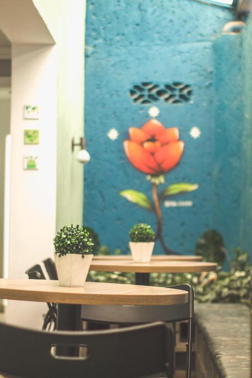 Fotografie z fotogalerie ubytování Br Hostel v destinaci Belo Horizonte