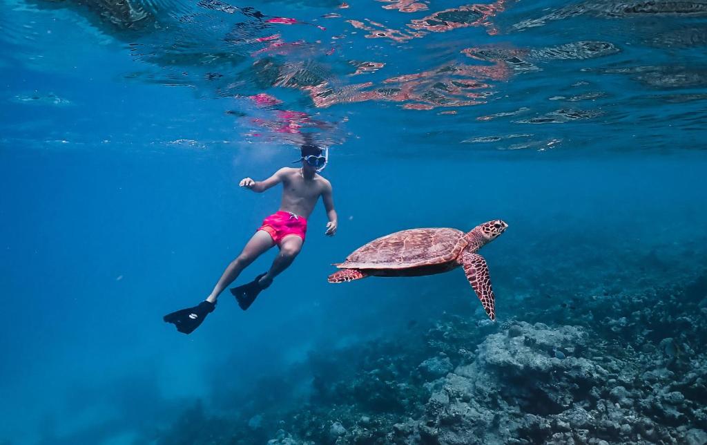Гости Meeru Maldives Resort Island