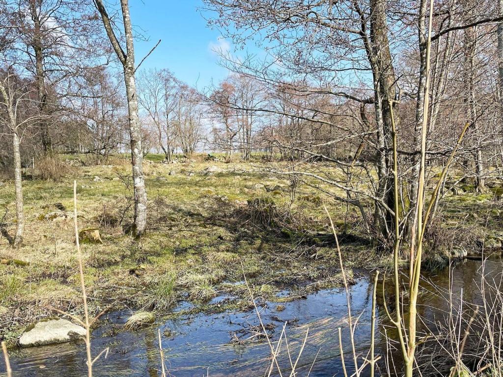 Příroda nedaleko prázdninového domu
