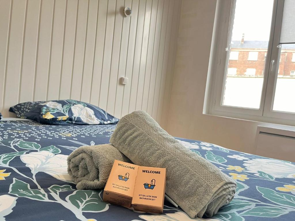 ein ausgestopftes Tier auf einem Bett mit zwei Büchern in der Unterkunft Cœur d'Amiens, Centre ville in Amiens