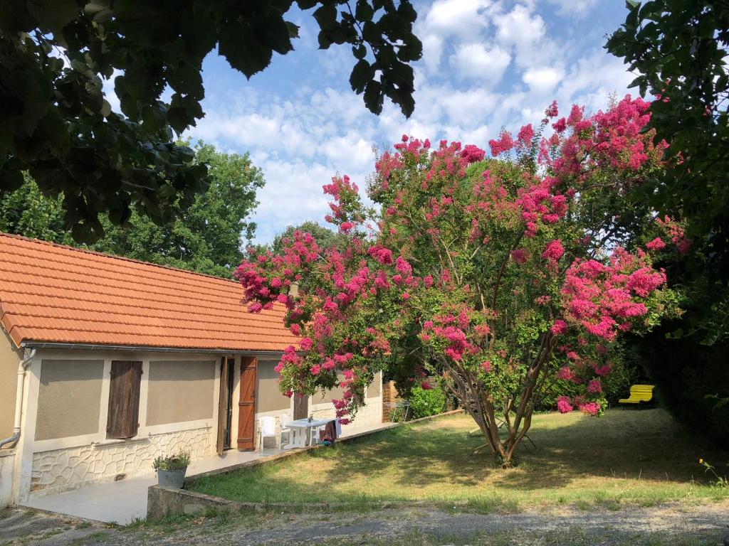 a tree with pink flowers in front of a house at Au lilas rose Maison entre campagne et village in Belvès