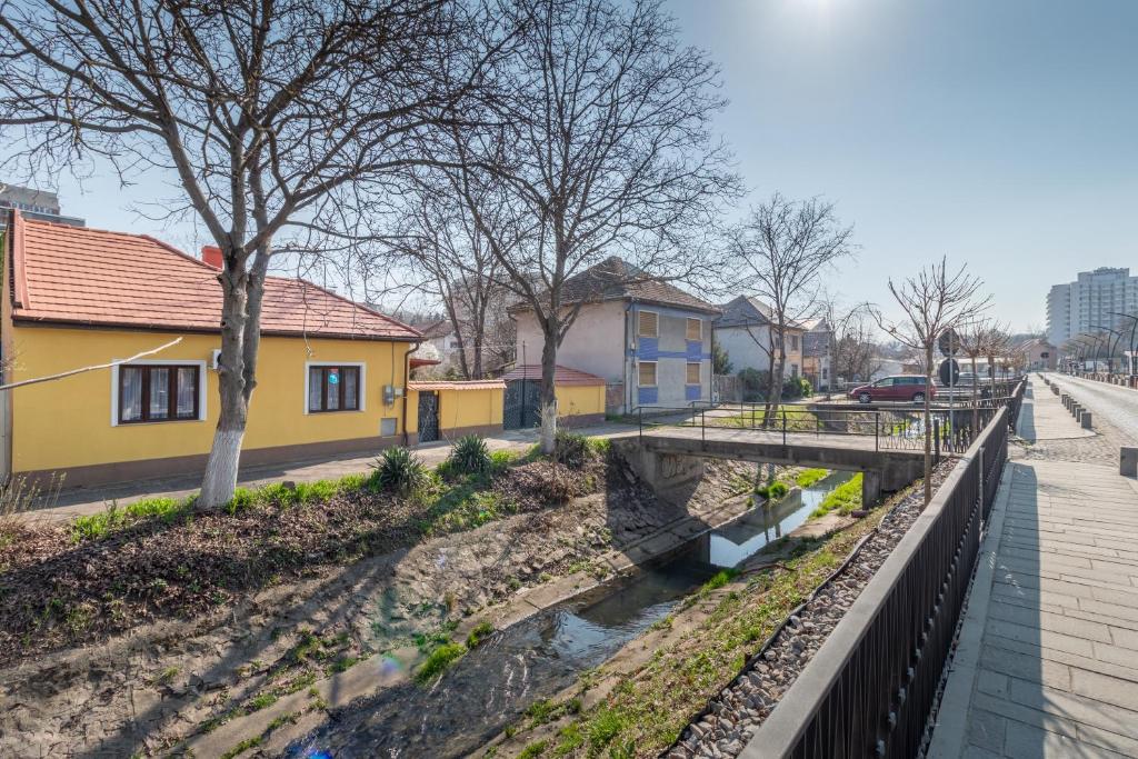 un pont sur une rivière dans une ville dans l'établissement Thermalis Grove Private House, à Băile Felix