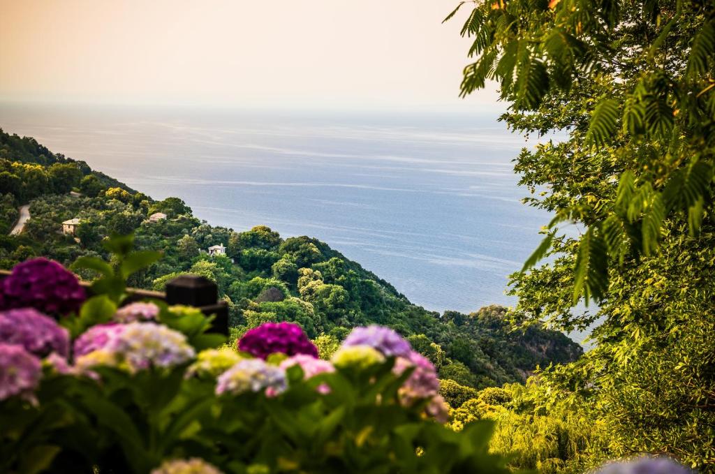 Blick auf den Ozean von einem Hügel mit Blumen in der Unterkunft Nymfes in Tsagkarada