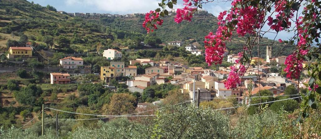 un pequeño pueblo en una colina con flores rosas en Casa Nina - Modolo a 3 km dal mare di Bosa, en Modolo
