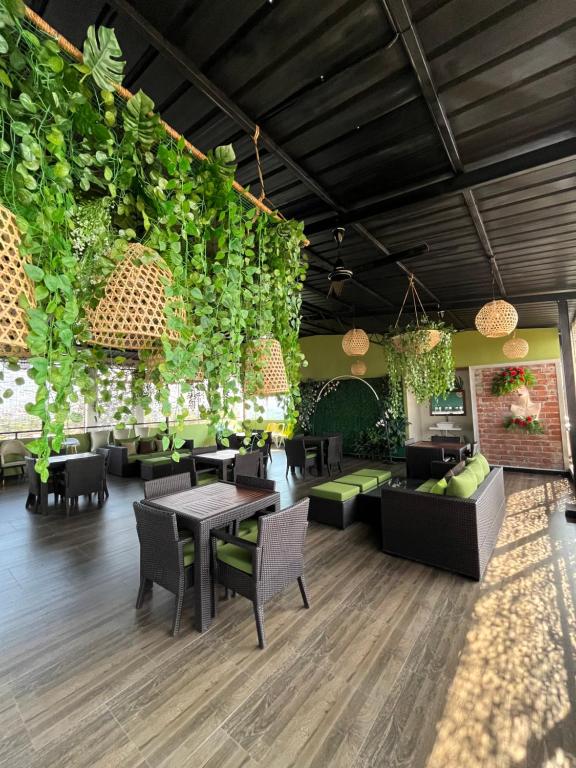 Grand Rovinka Hotel في دهيفالا: مطعم بالطاولات والكراسي والنباتات