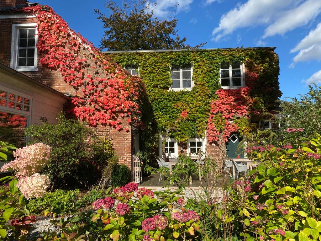 Zahrada ubytování Hotel Altes Dichterhaus