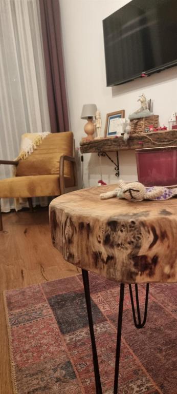 TV a/nebo společenská místnost v ubytování Winter Park Residence Bjelasnica