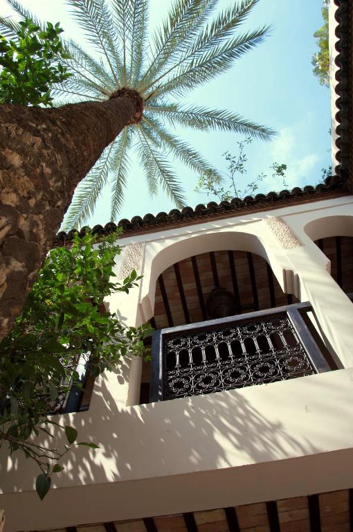 Fotografie z fotogalerie ubytování Riad Palmier v Marrákéši