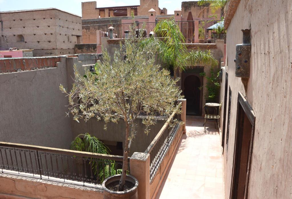 Fotografie z fotogalerie ubytování Riad Palmier v Marrákéši