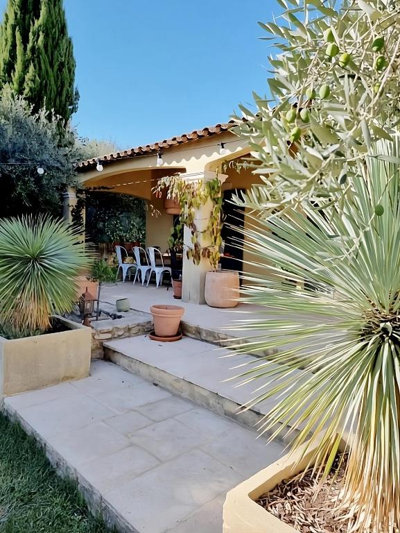 a patio with chairs and a palm tree at Villa OASIS en Provence Luberon Pierrevert in Pierrevert