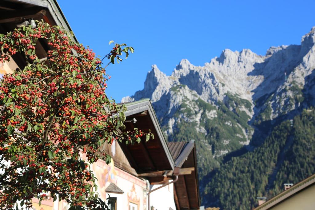 Gästehaus Lärchenhang - 19