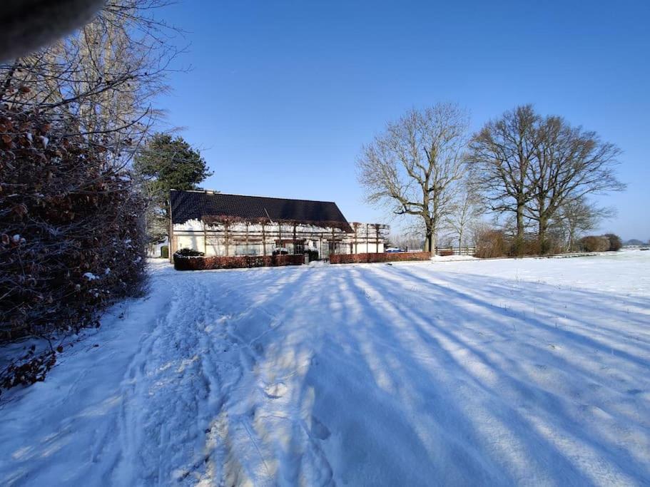 un patio cubierto de nieve con una casa en el fondo en The Horst cottage en Holsbeek