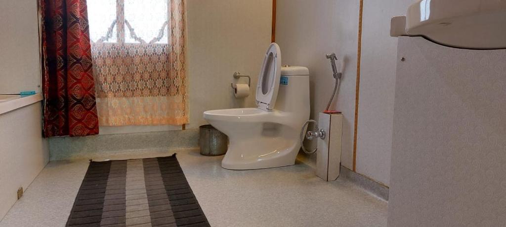 斯利那加的住宿－Srinagar hotels and houseboats，浴室设有卫生间、窗户和地毯。