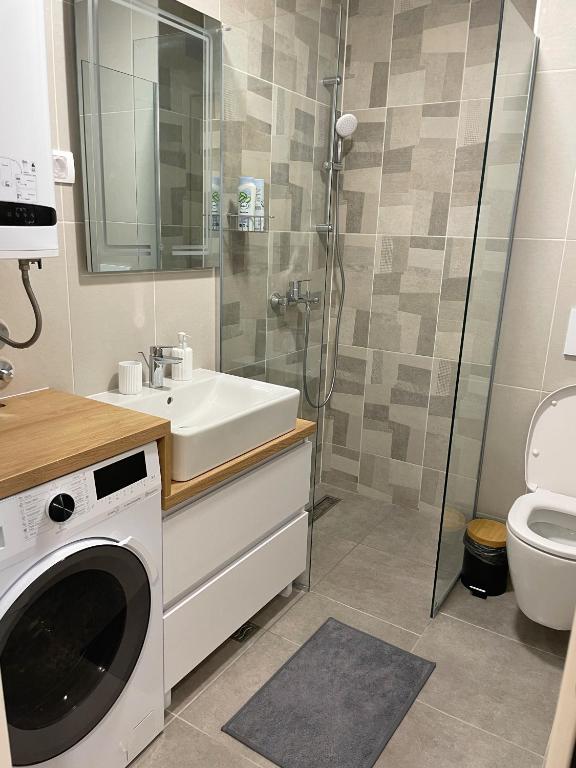 um banheiro com pia e máquina de lavar em Apartman Sofi Divčinova em Divčibare