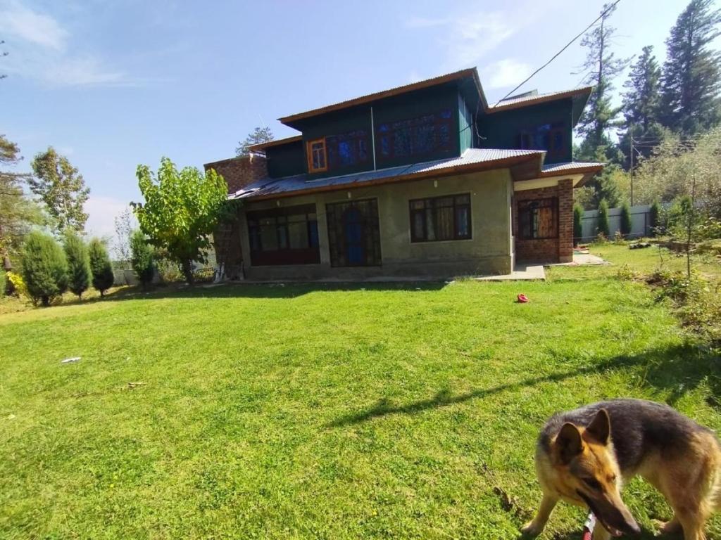 a dog standing in front of a house at Sheraz Guest House , Tangmarg in Tangmarg