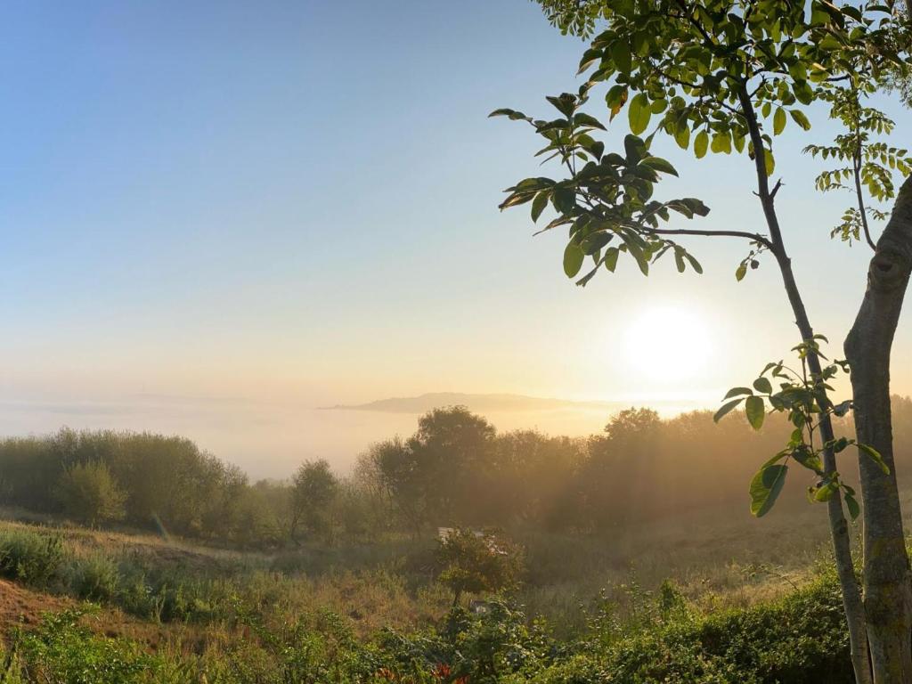a foggy field with the sun in the background at Gîte à Saint-Étienne-au-Mont avec jardin privatif, cheminée, WiFi et animaux admis - FR-1-376-77 in Saint-Étienne-au-Mont