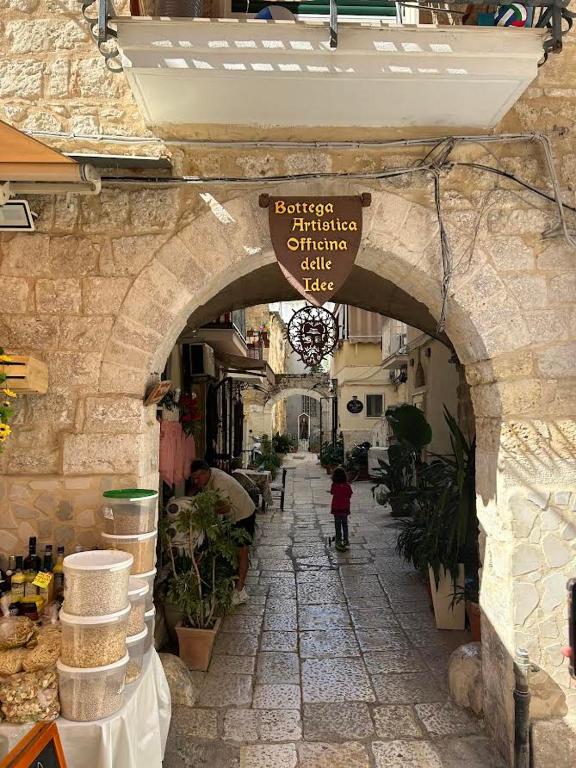 eine Gasse mit einem Torbogen in einem Gebäude mit einer Person, die hindurchgeht. in der Unterkunft Al rifugio di rosmy in Bari