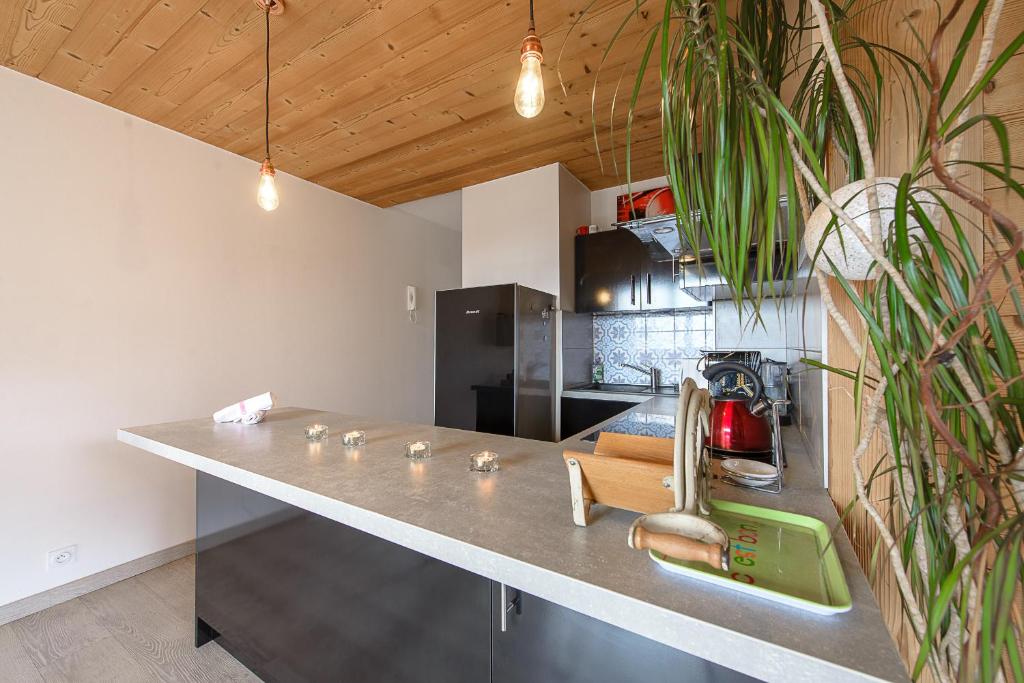 a kitchen with a counter top with a sink at Les Terrasses Montfleury, aux portes d'Annecy- Une exclusivité LLA Selections by Location lac Annecy in Annecy