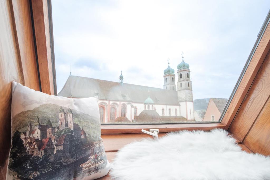 Fotografie z fotogalerie ubytování NEU Deluxe Suite Münsterblick, Maisonette, Kingsize Bett, Küche, Netflix, Aussicht, E-Kamin v destinaci Bad Säckingen
