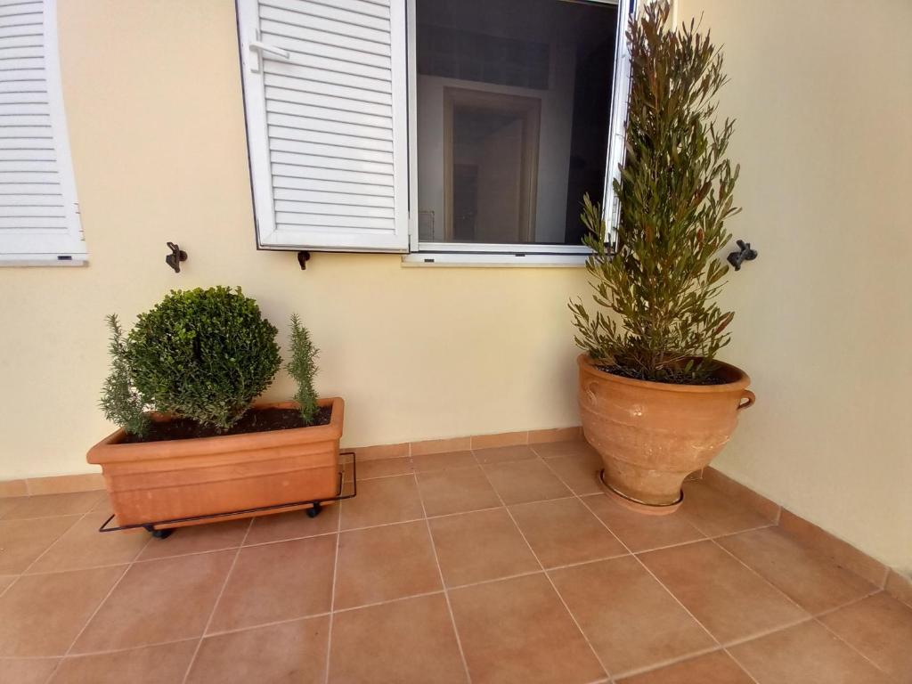 two potted plants sitting on a tile floor under a window at Sapphire apartment in Agios Nikolaos