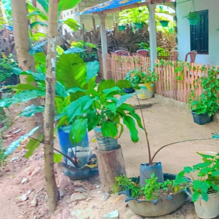 Zahrada ubytování NR Villa Nilaveli