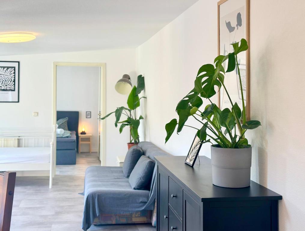 Saale, Marktplatz Zentrum, Apartmenthaus am Dom von Plant Room - Penthouse Apartment