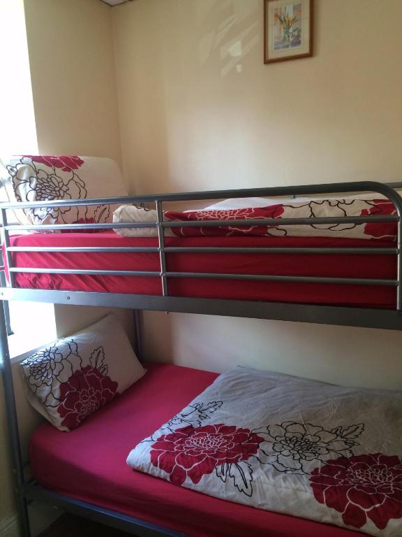 two bunk beds in a room with a bed at The Apache Hostel in Dublin